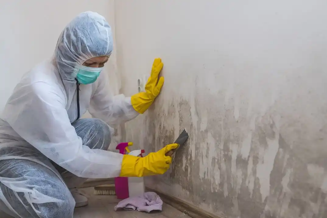 water damage restoration service Deer Trail